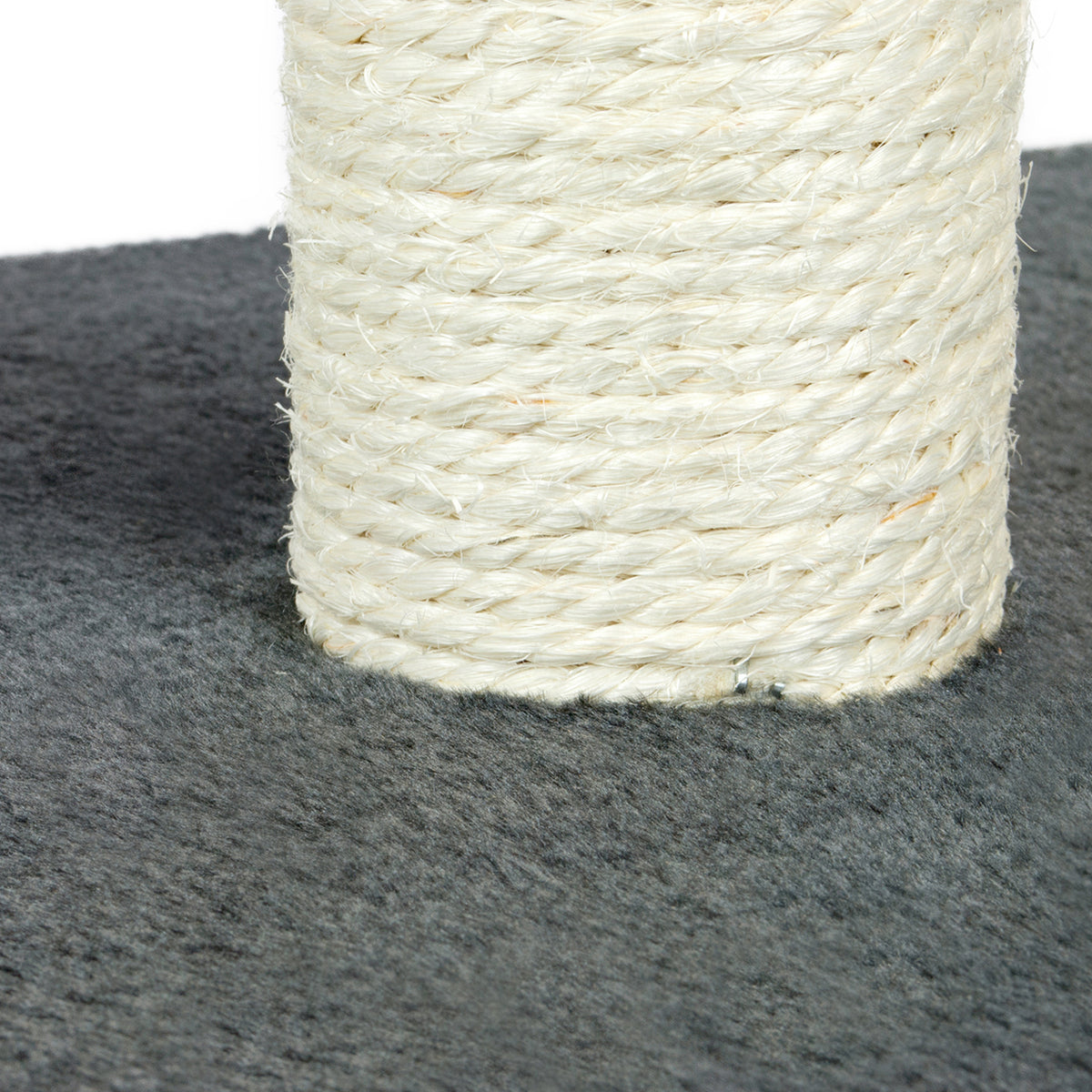 Close-up of a cylindrical cat scratching post wrapped in off-white sisal rope, standing on a dark gray textured carpet against a white background.