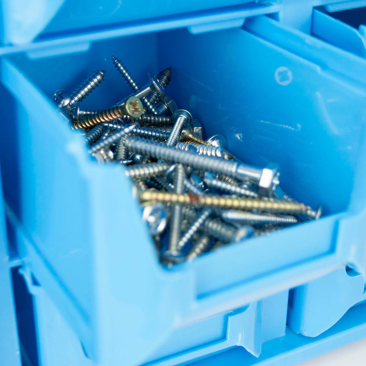 A close-up shot of various silver and bronze-colored wood screws stored inside a bright blue plastic organizer box.