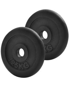 Iron Weight Plates - 2x 1.25kg