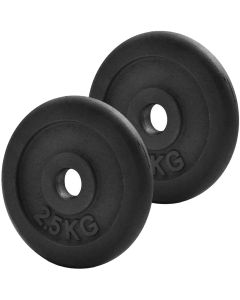 Iron Weight Plates - 2x 2.5kg