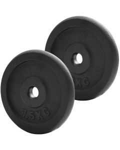 Iron Weight Plates - 2x 7.5kg