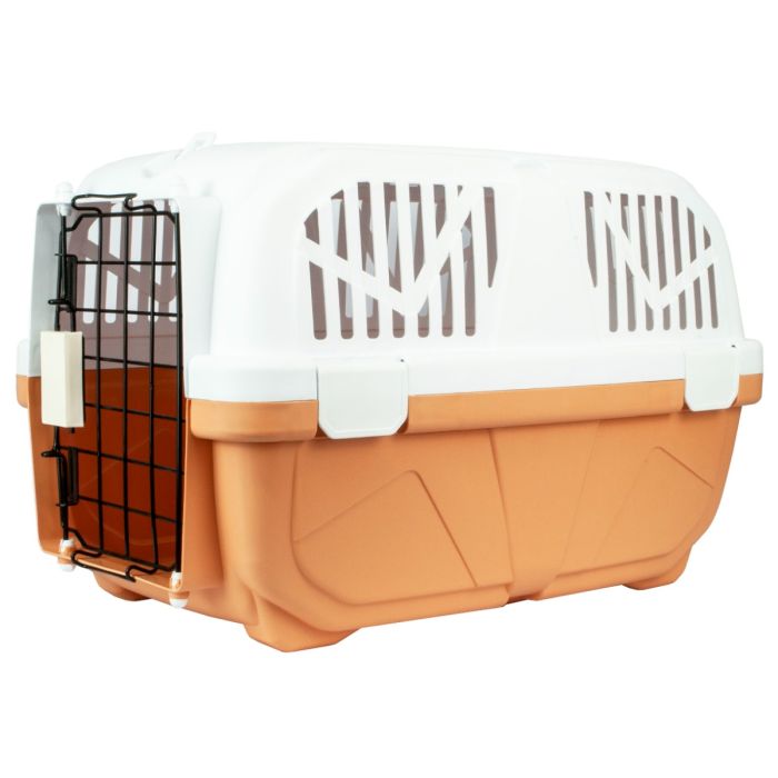 Hard plastic cat hot sale carrier