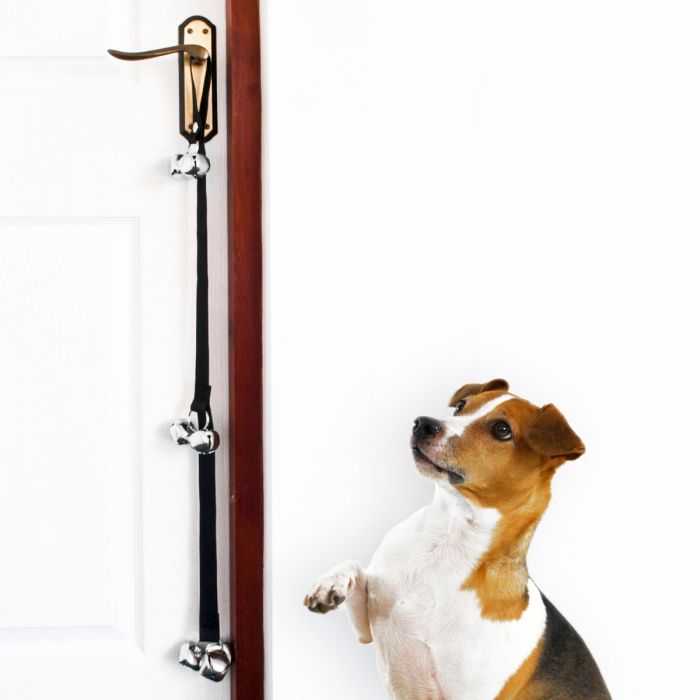 where to buy a bell for dog training